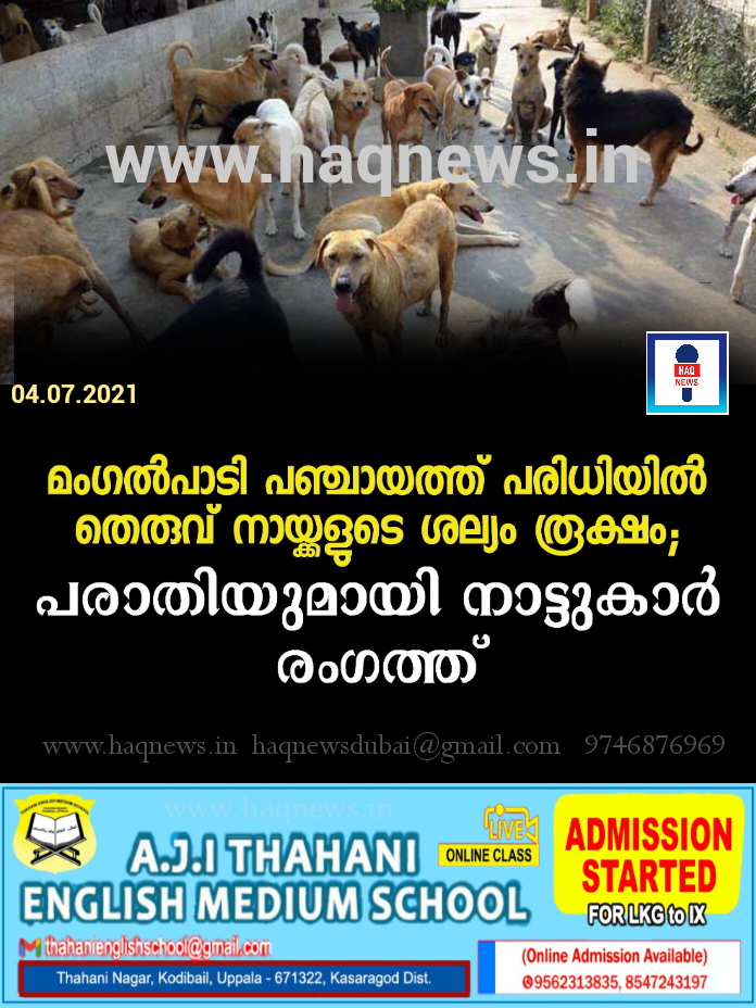 മംഗൽപാടി പഞ്ചായത്ത് പരിധിയിൽ തെരുവ് നായ്ക്കളുടെ ശല്യം രൂക്ഷം ; പരാതിയുമായി നാട്ടുകാർ രംഗത്ത്