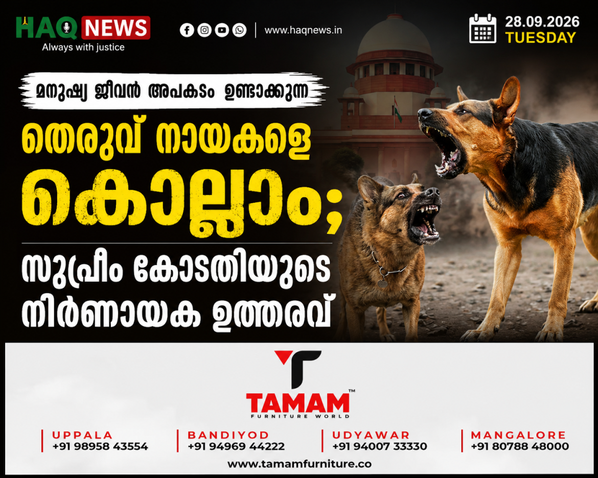 തെരുവ് നായകളെ കൊല്ലാം; സുപ്രീം കോടതിയുടെ നിർണായക ഉത്തരവ്