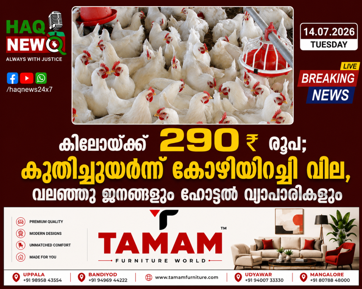 കിലോയ്ക്ക് 290 രൂപ; കുതിച്ചുയർന്ന് കോഴിയിറച്ചി വില, വലഞ്ഞ് പൊതു ജനങ്ങളും,ഹോട്ടൽ വ്യാപാരികളും